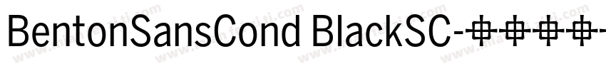 BentonSansCond BlackSC字体转换